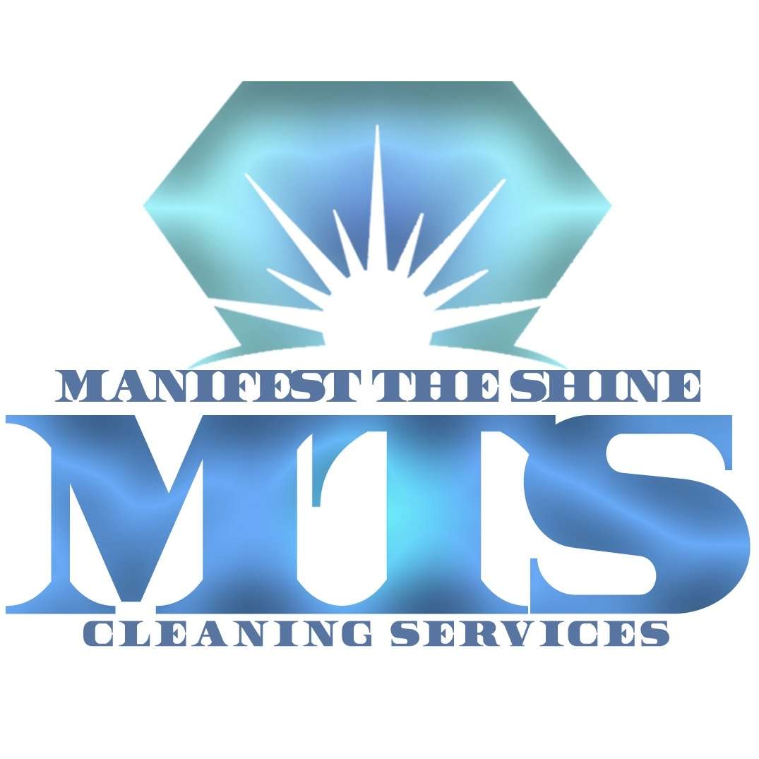 Manifest the Shine, LLC Logo