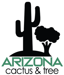 Arizona Cactus and Trees Logo