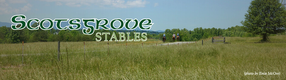 Scotsgrove Stables Logo