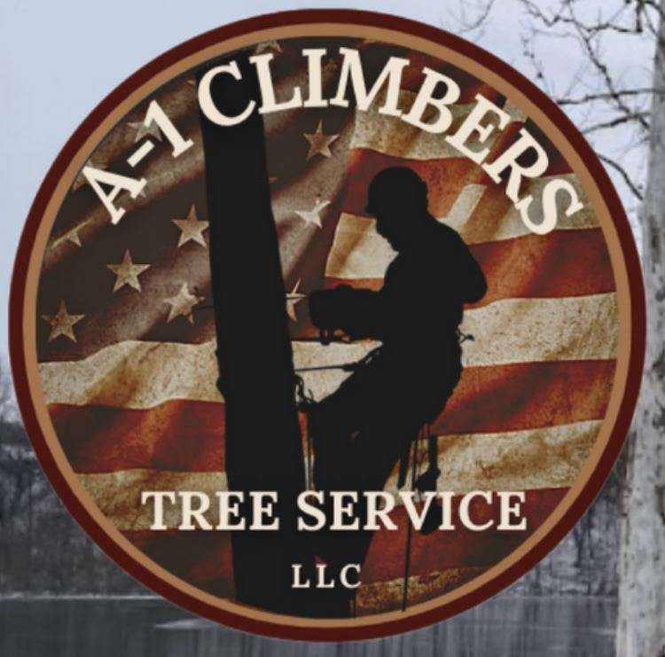 911 Tree Experts Logo