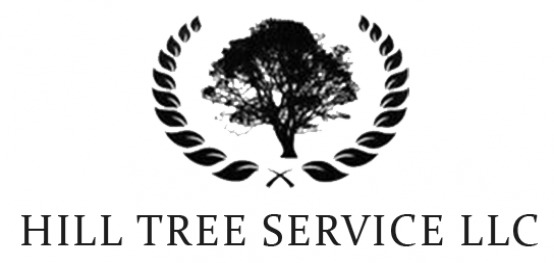 Hill Tree Service Logo