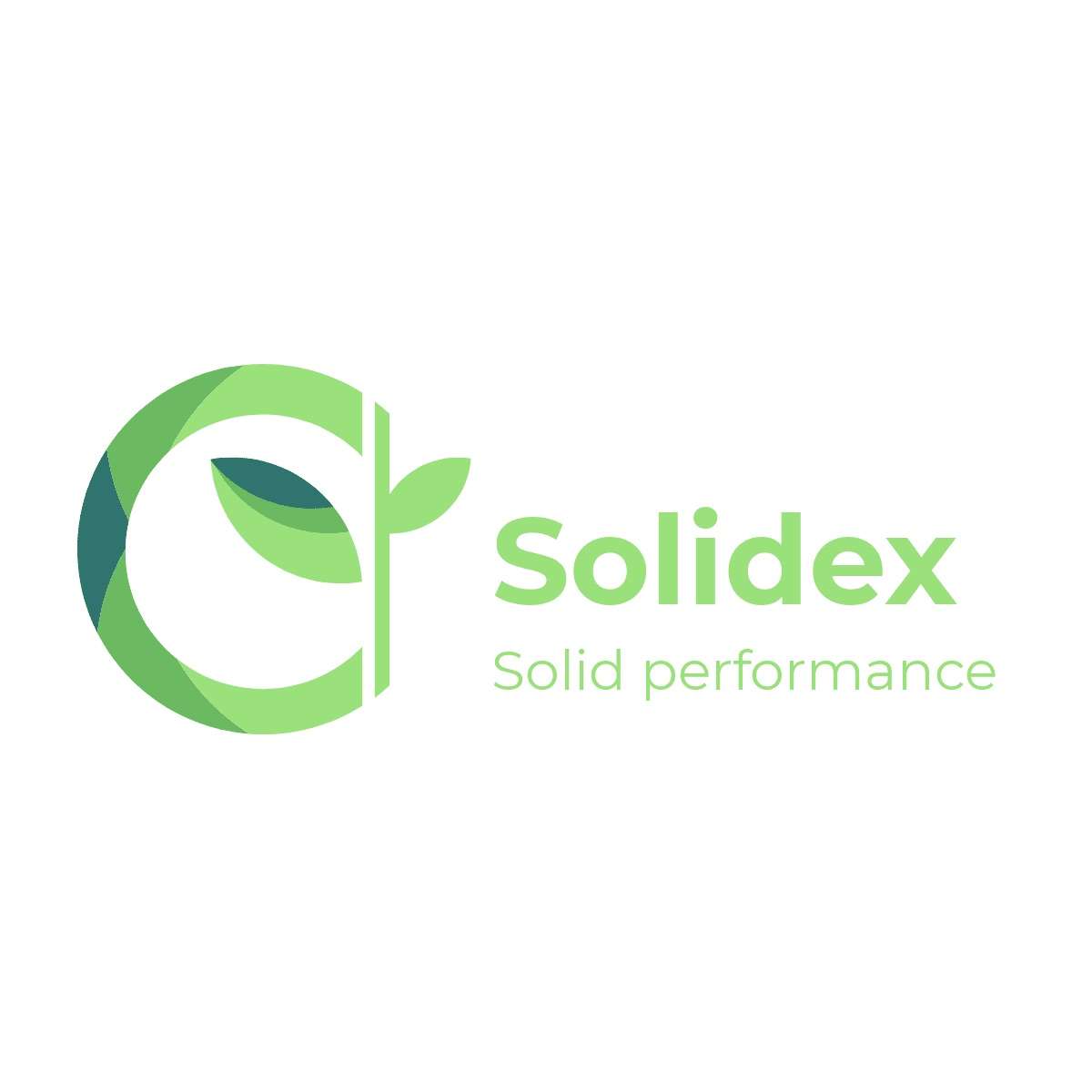 Solidex Home Healthcare Services Logo