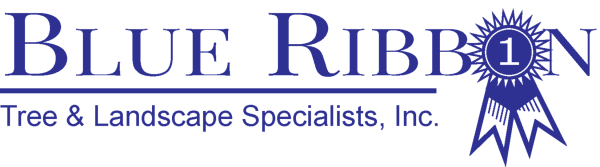 Blue Ribbon Tree & Landscape Specialists Inc Logo