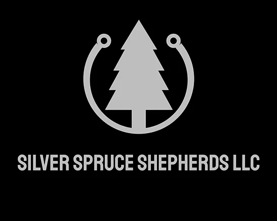 Silver Spruce Shepherds, LLC Logo