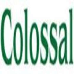 Colossal Construction, Inc. Logo