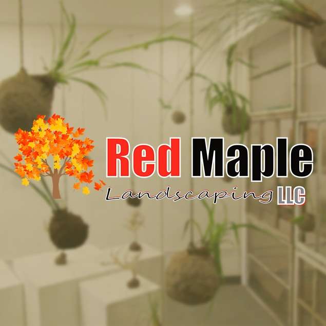 Red Maple Landscaping, LLC Logo