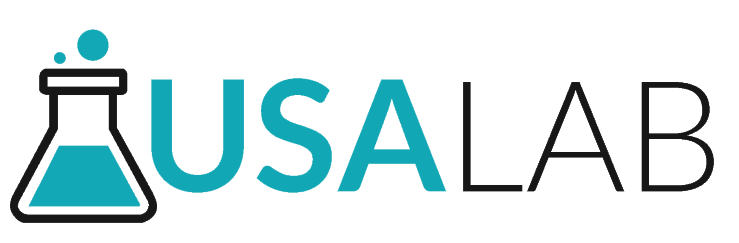 USA Lab Logo