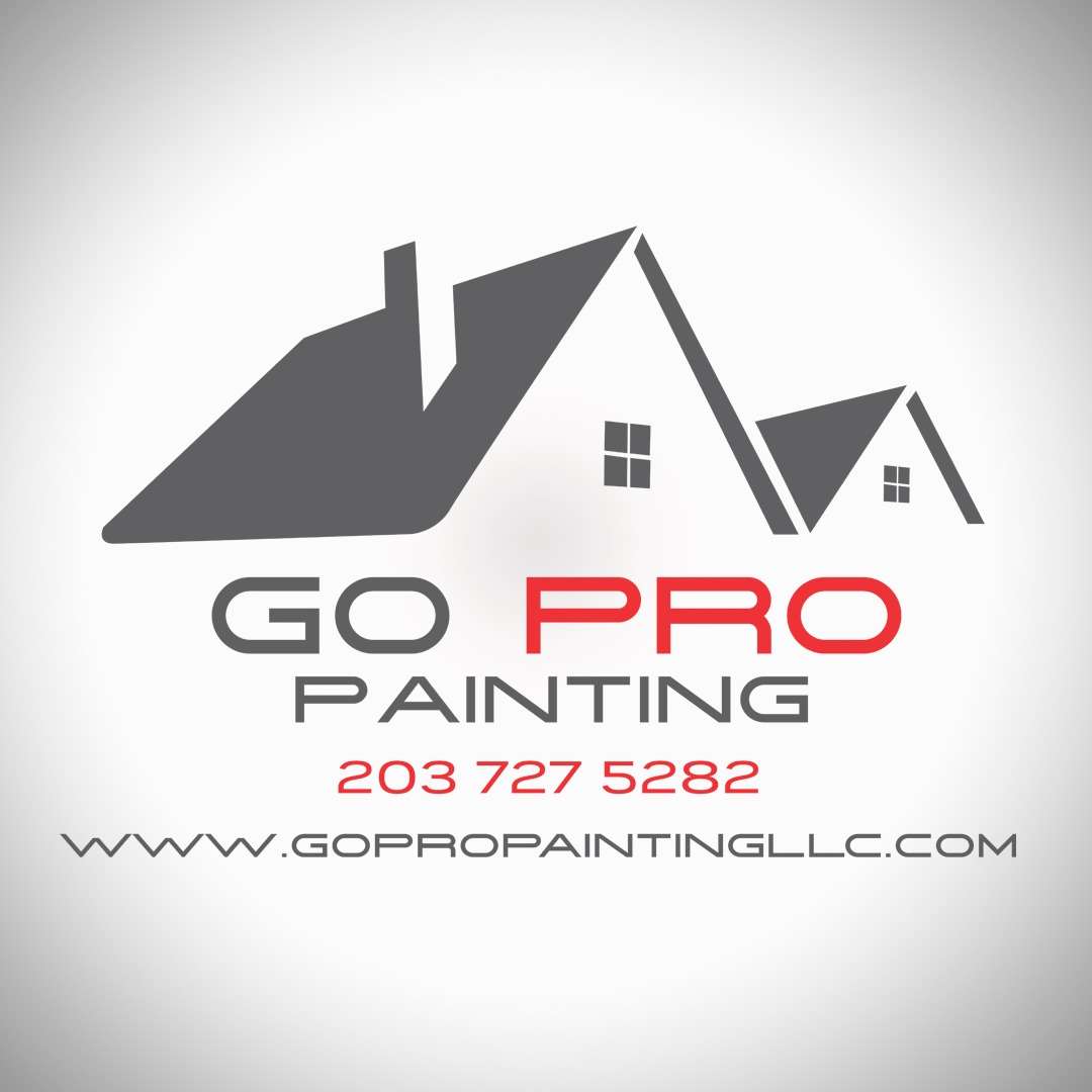 Go Pro Painting LLC Logo