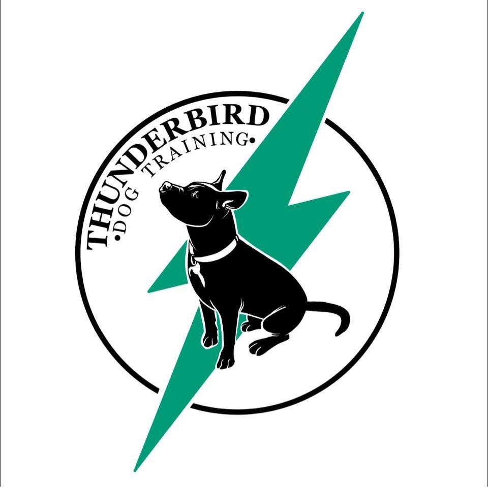 Thunderbird Dog Training Logo