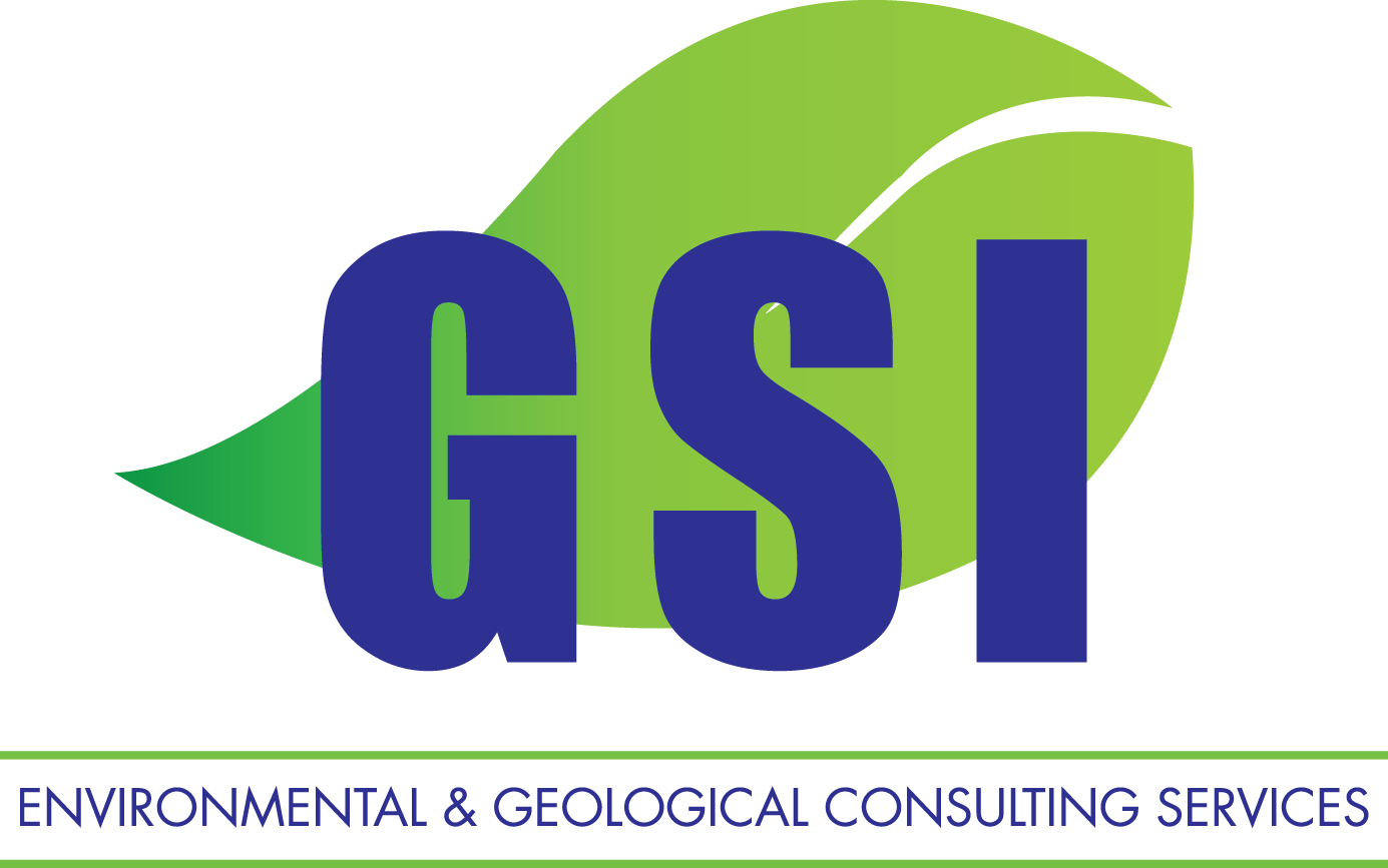 Geographic Services Inc. Logo