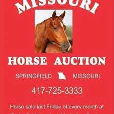 Missouri Horse Auction Logo