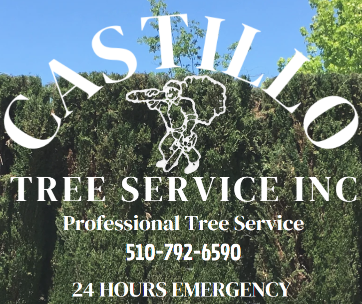 Castillo Tree Service, Inc. Logo