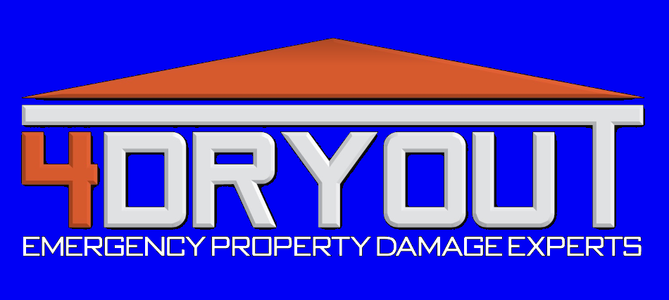 4 Dry Out, Inc. Logo