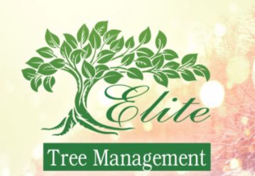 Elite Tree Management   Logo