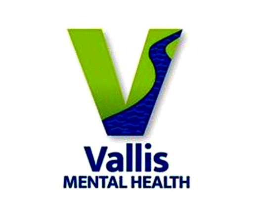 Vallis LLC Logo