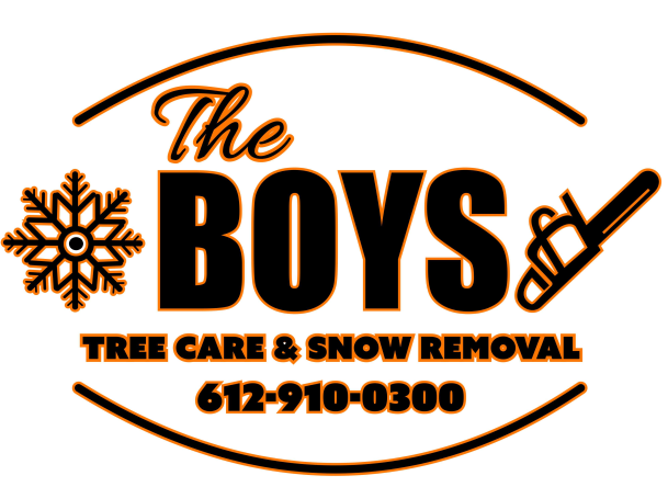 The Boys LLC Logo