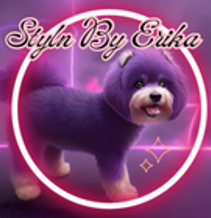 Styl’n By Erika Logo