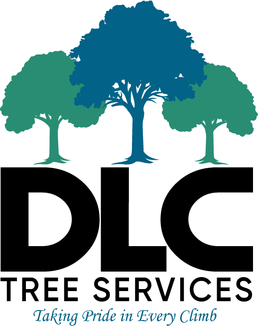 DLC Tree Services LLC Logo