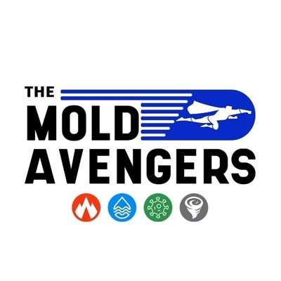 The Mold Avengers, Inc. Logo