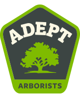 Adept Arborists Logo