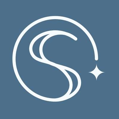 Skywithclass LLC Logo