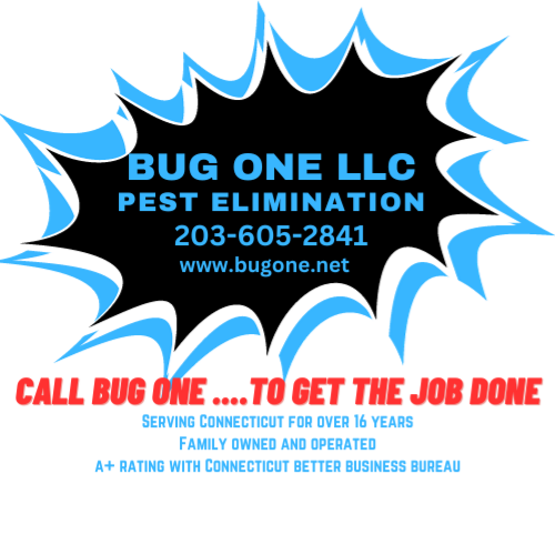 Bug One, LLC Logo