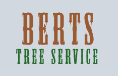 Bert's Tree Service Logo