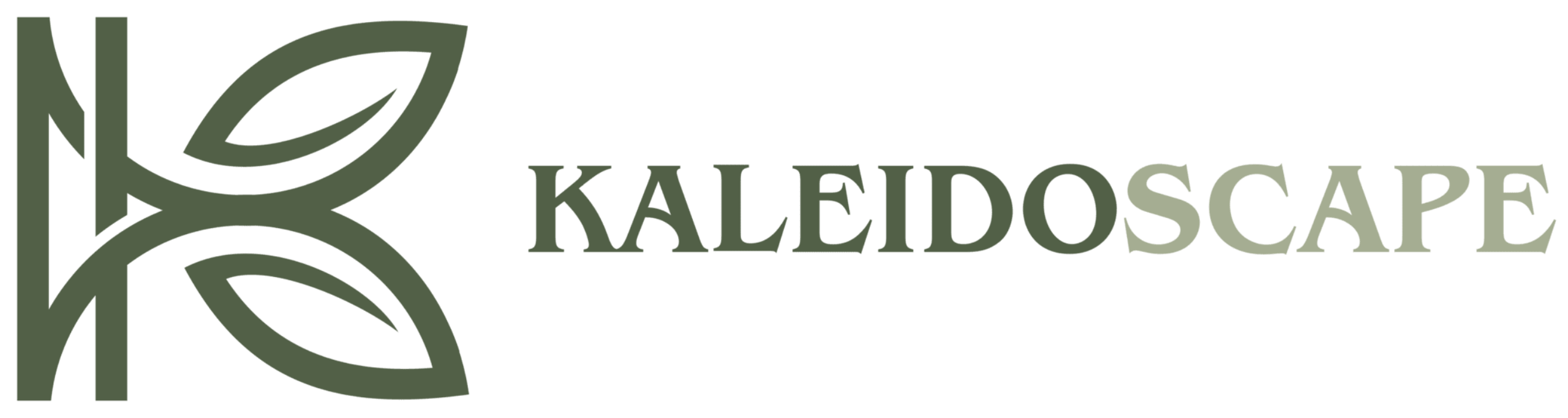 Kaleidoscape Logo
