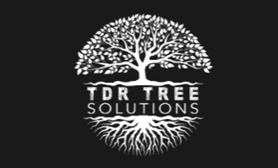 TDR Tree Solution Logo