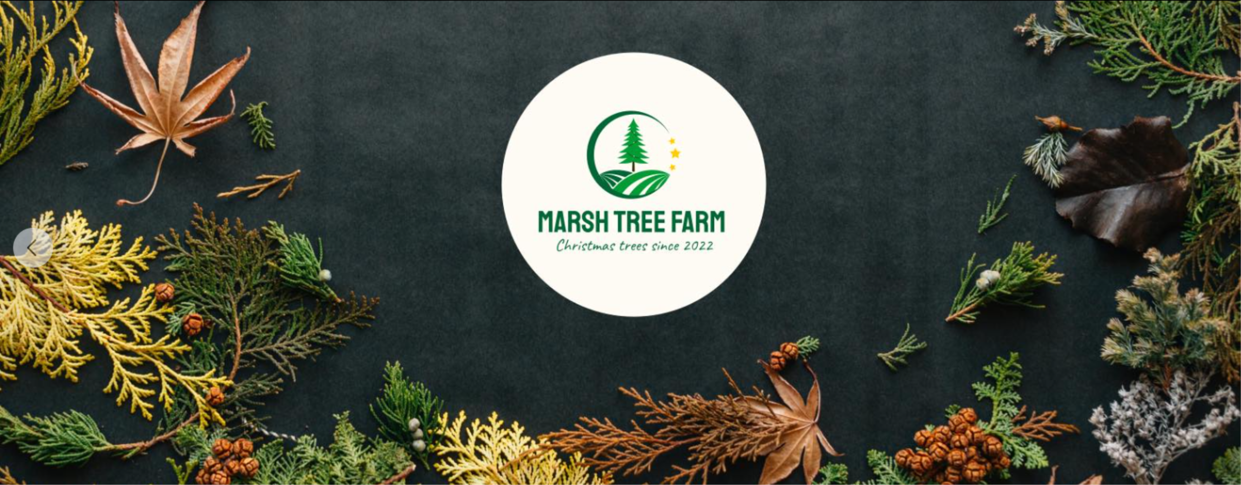 Marsh Tree Farm Logo