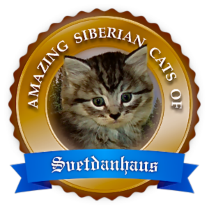 Amazing Siberian Cats and Kittens of Svetdanhaus Logo