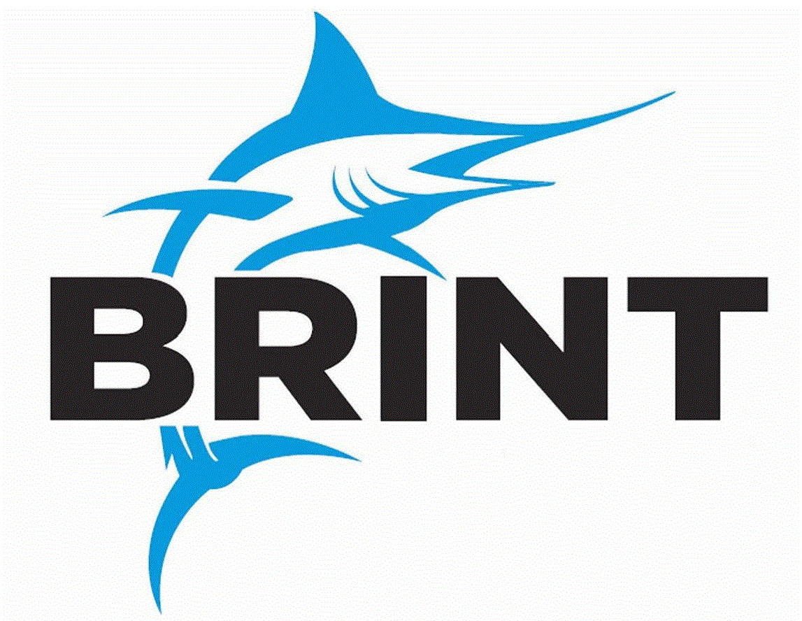 Brint Inc. Logo