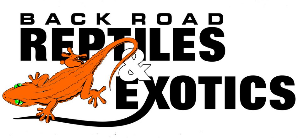 Back Road Reptiles and Exotics LLC Logo