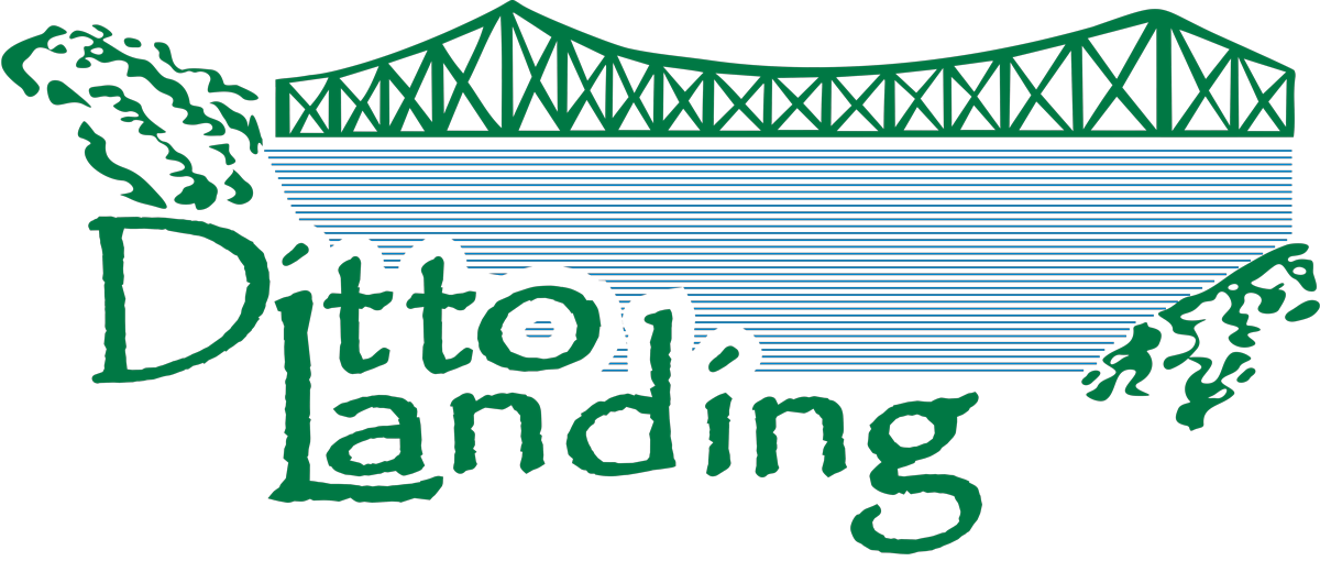 Ditto Landing Logo