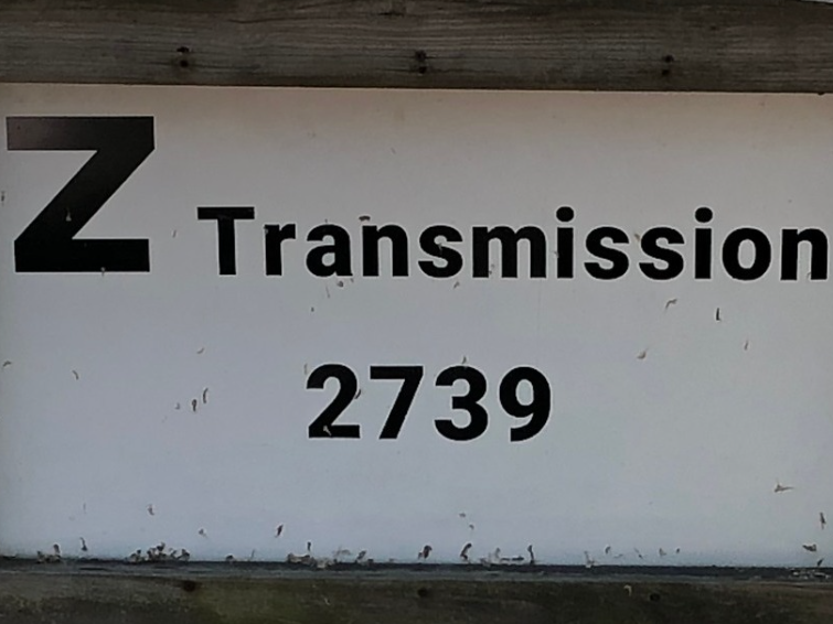 Z-Transmission & Auto Repair Logo