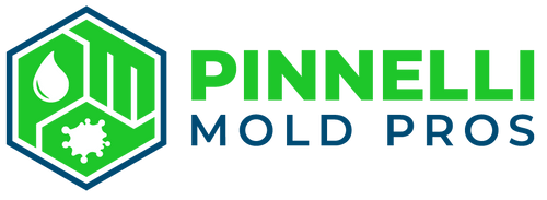 Pinnelli Mold Pros LLC Logo
