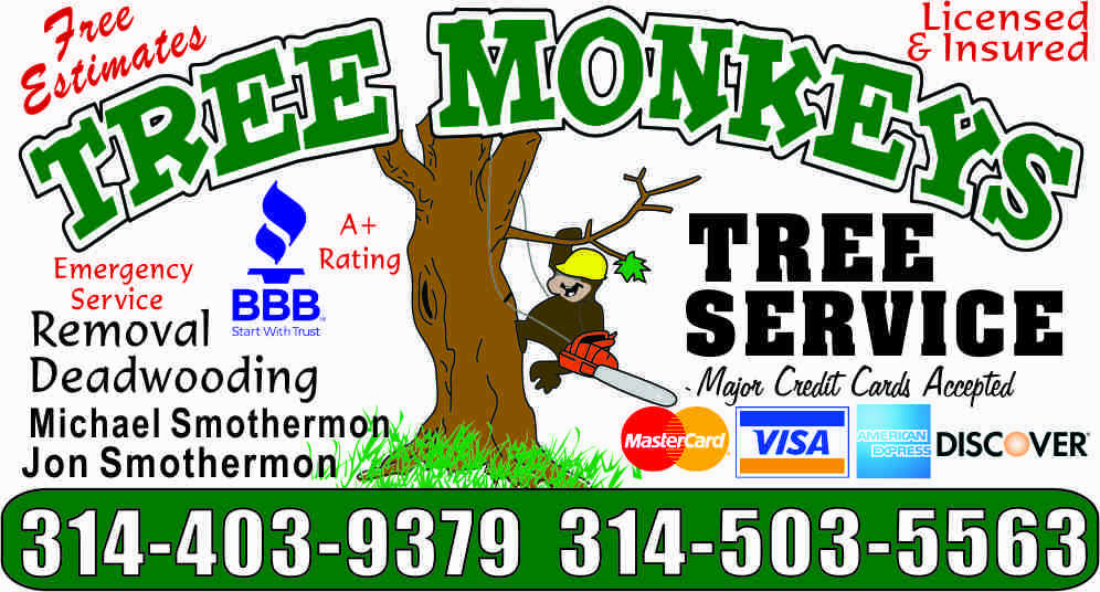 Tree Monkeys Logo