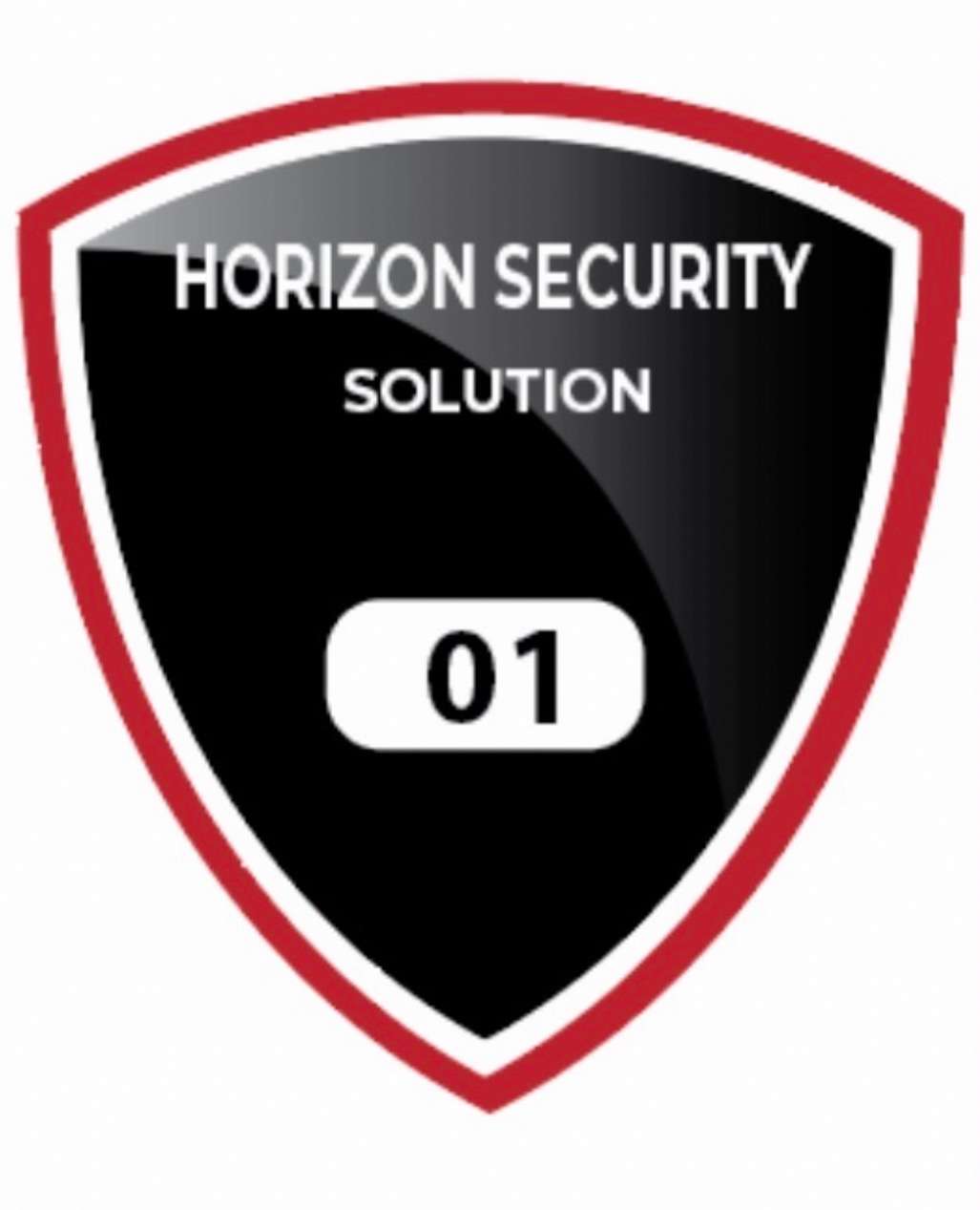 Horizon Security Solution, Inc. Logo
