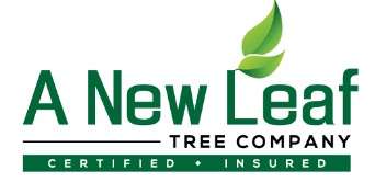 A New Leaf Tree Company, LLC. Logo