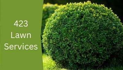 423 Lawn Services, LLC Logo