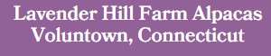 Lavender Hill Farm Alpacas Logo