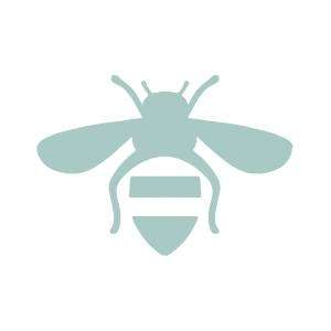 Bee Organized Lincoln Logo