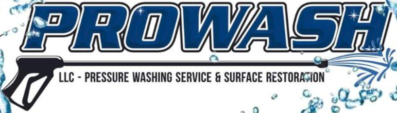 Prowash PW LLC Logo