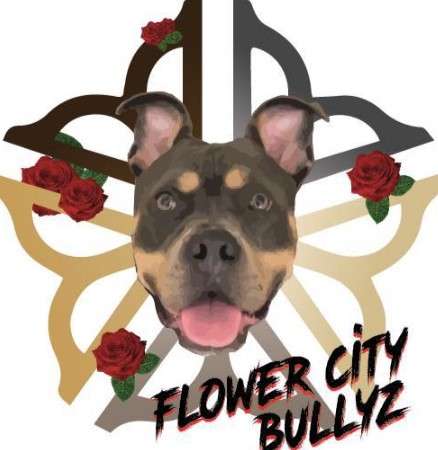 Flower City Bullyz Logo