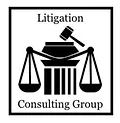 Litigation Consulting Group Logo