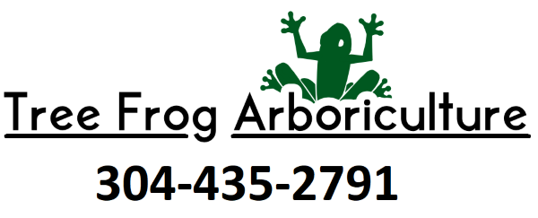 Tree Frog Arboriculture Logo