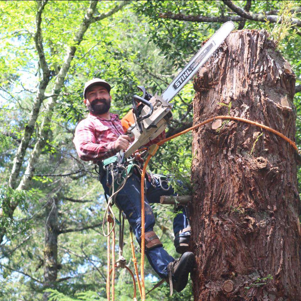 D & E Tree Care LLC Logo