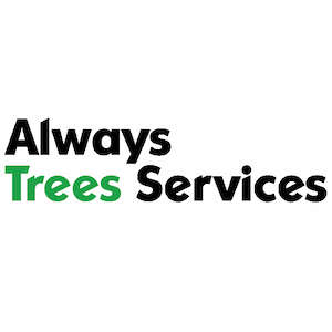 Always Trees LLC Logo