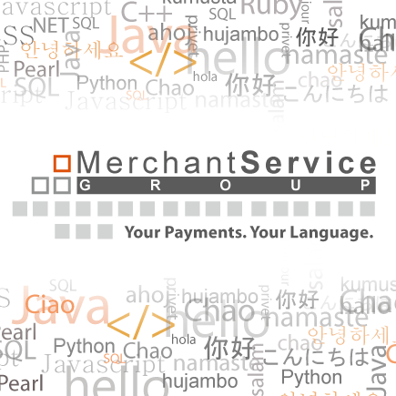 Merchant Service Group LLC Logo