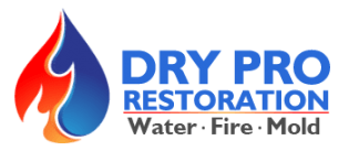 Dry Pro Restoration Logo